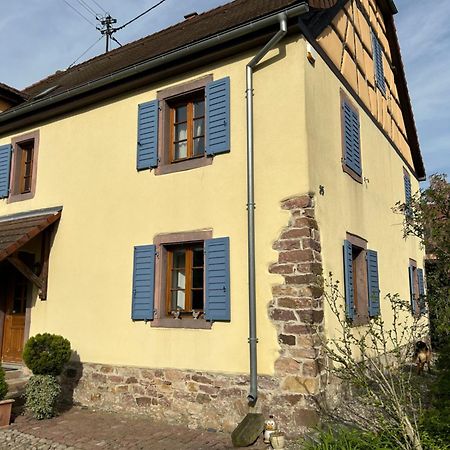 Muntzenheim Gite La Maison De Jules מראה חיצוני תמונה