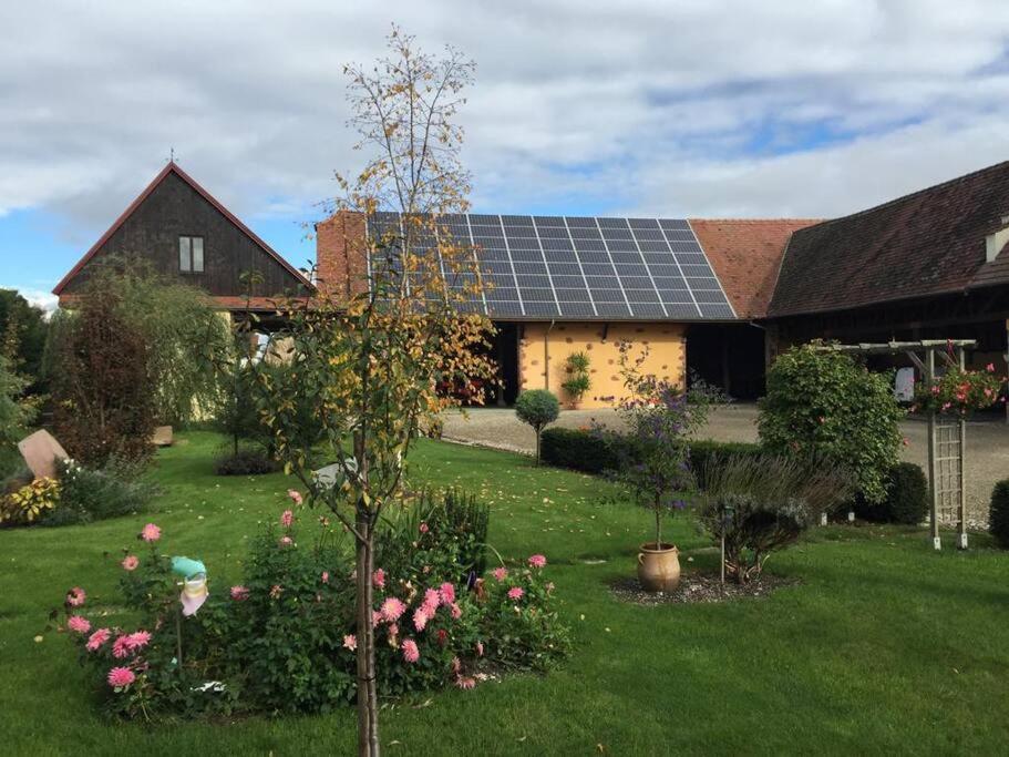 Muntzenheim Gite La Maison De Jules מראה חיצוני תמונה