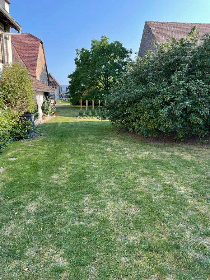 Muntzenheim Gite La Maison De Jules מראה חיצוני תמונה